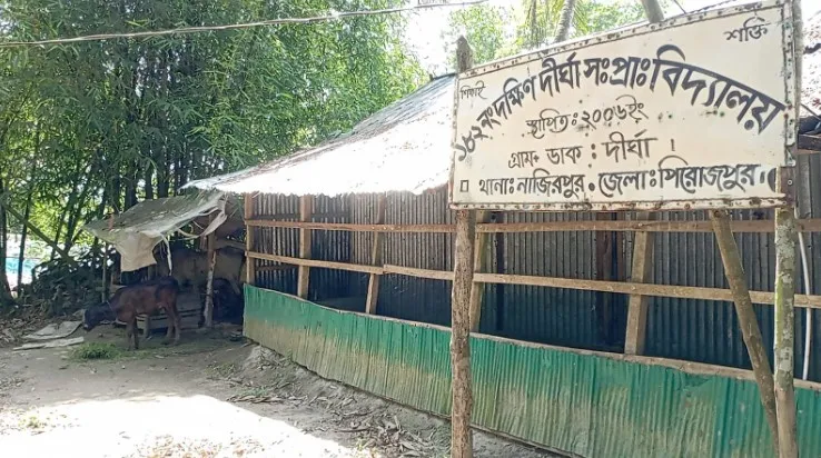 পিরোজপুরে ৫ শিক্ষার্থীর জন্য ৪ শিক্ষক, তবুও শ্রেণিকক্ষে পাঠদান বন্ধ